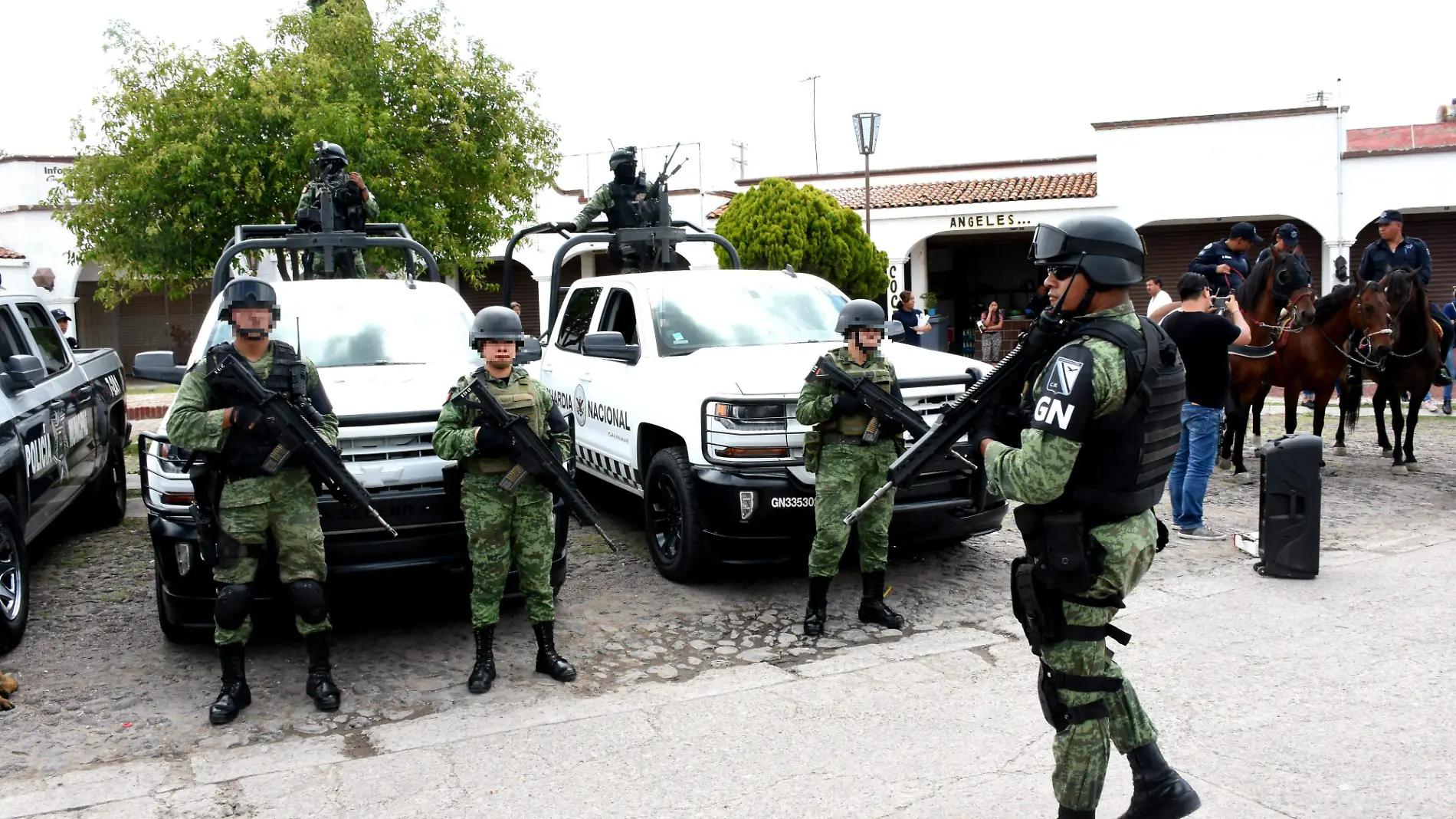 Guardia Nacional (3) ok